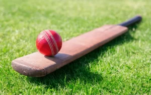 SS Cricket Bat