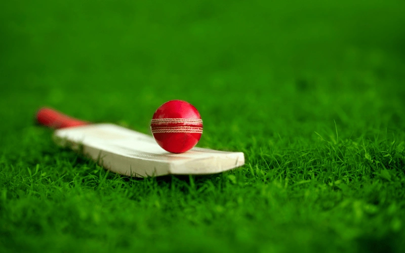 SS Cricket Bat